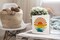 Summer Desk Decor,Retro Sun Sunset Rays Rustic Summer Wood Block Plaque Box Sign Desk Decor